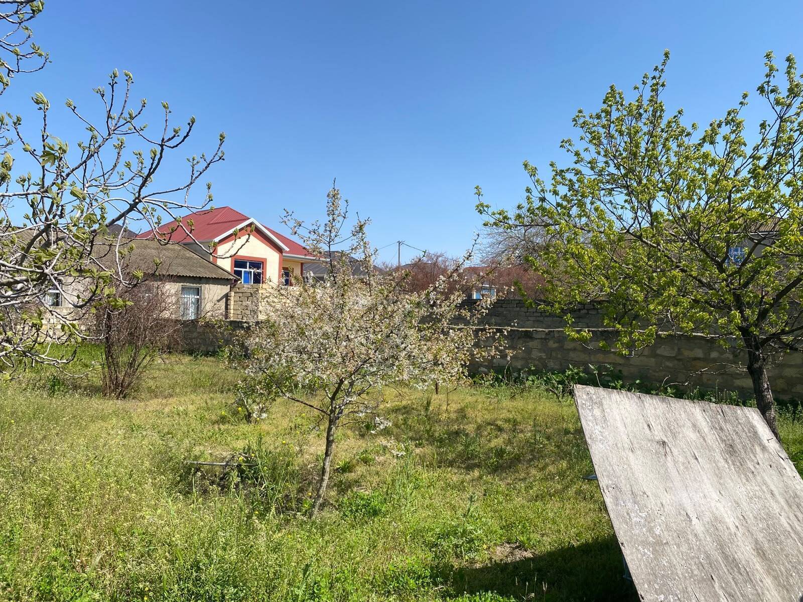 Torpaq Saray q., Bakı