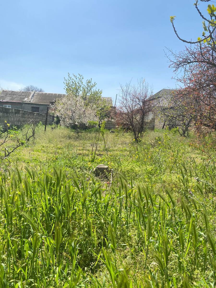 Torpaq Saray q., Bakı