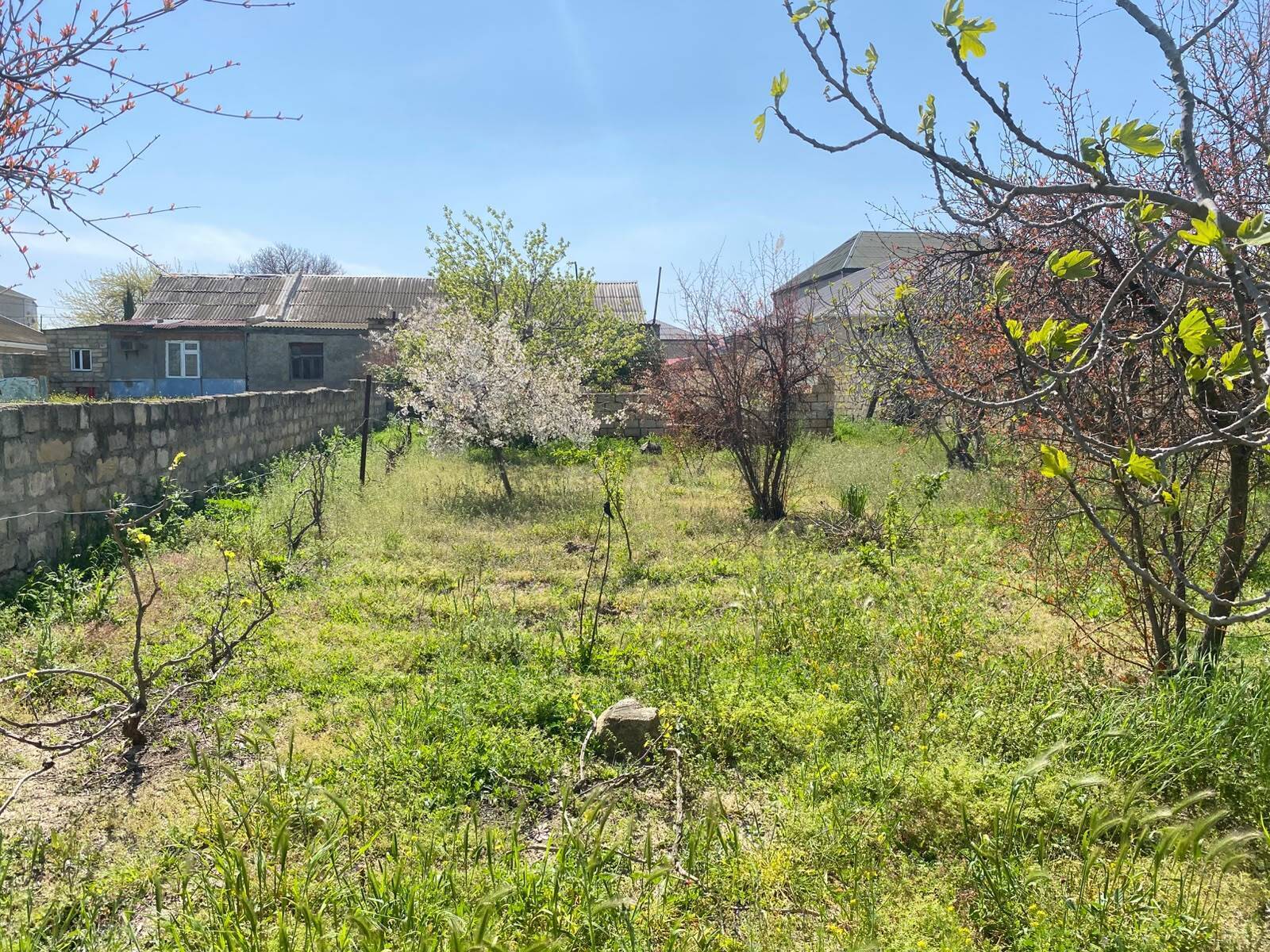 Torpaq Saray q., Bakı