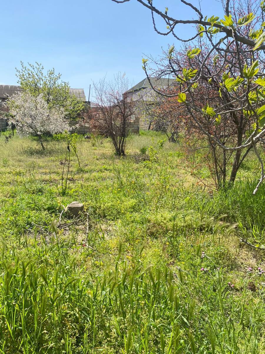 Torpaq Saray q., Bakı