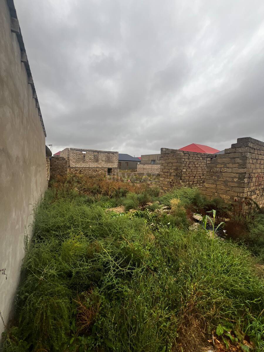 Torpaq Qala q., Bakı