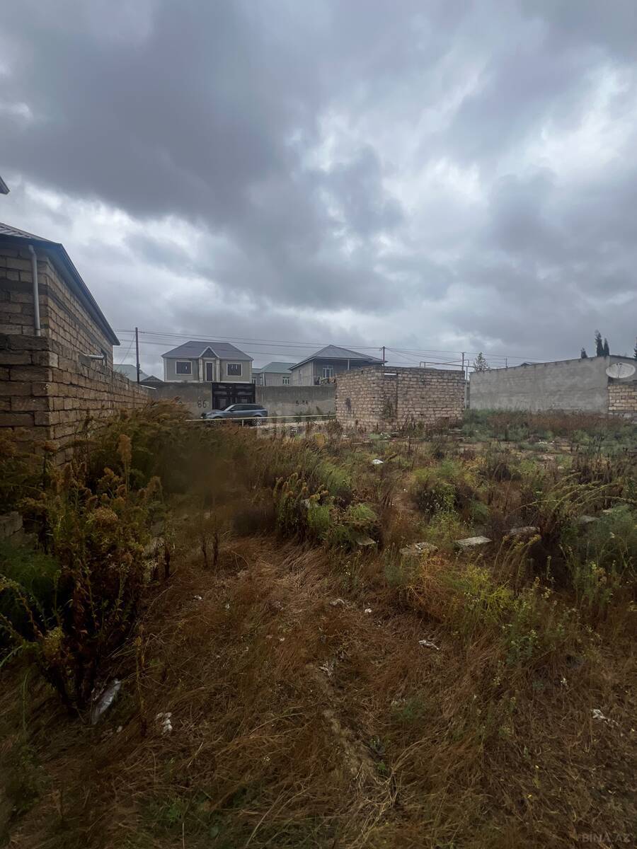 Torpaq Qala q., Bakı