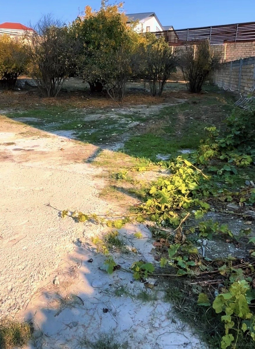 Torpaq Şıxov q., Bakı