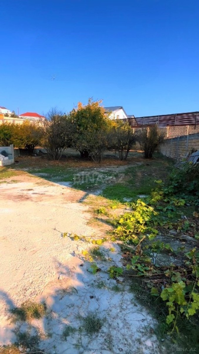 Torpaq Şıxov q., Bakı