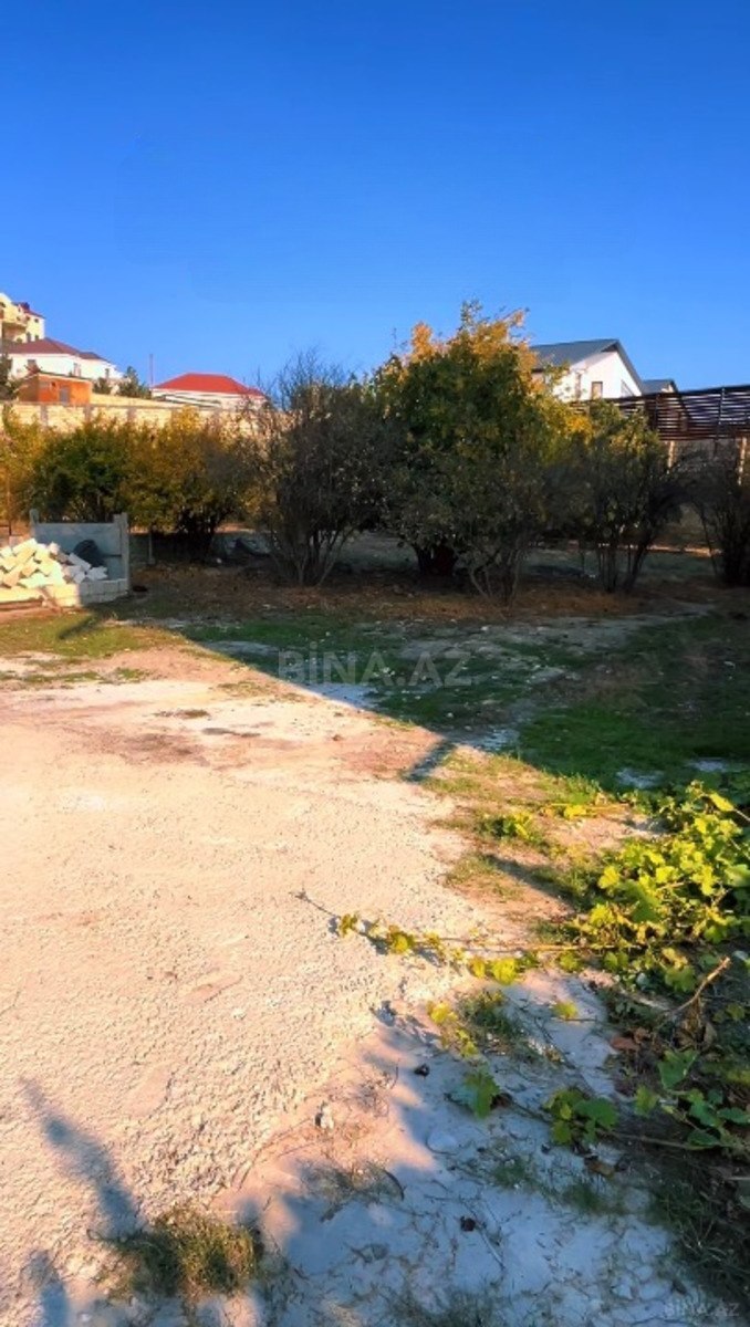 Torpaq Şıxov q., Bakı