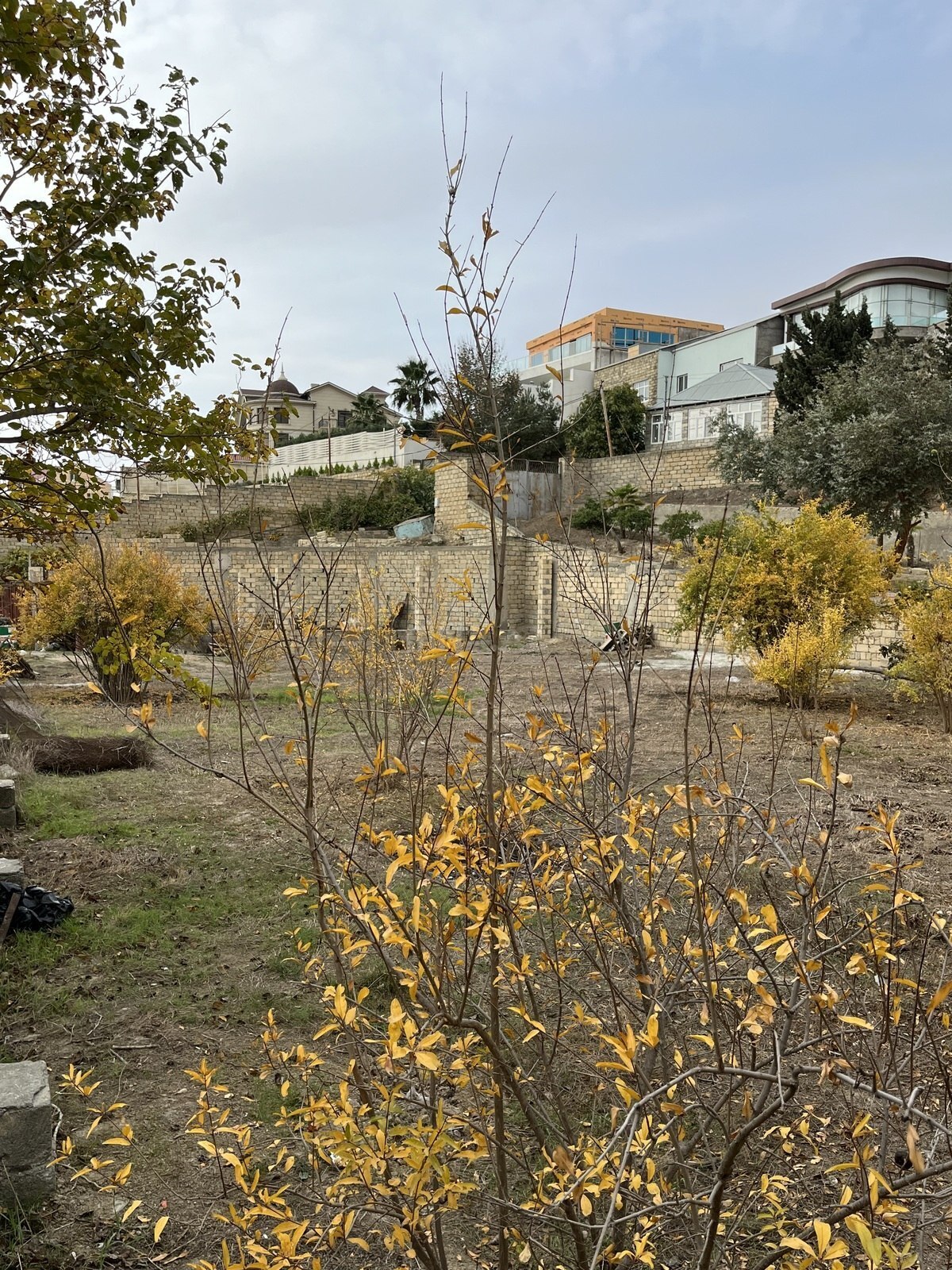 Torpaq Şıxov q., Bakı