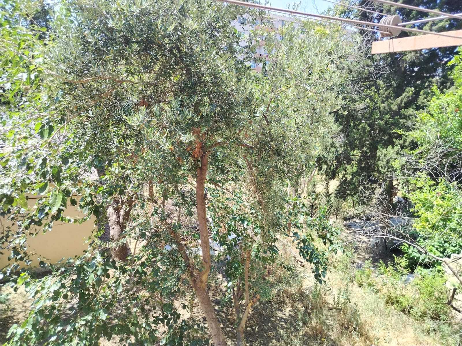 3 otaqlı Köhnə tikili, Əhmədli m., Bakı