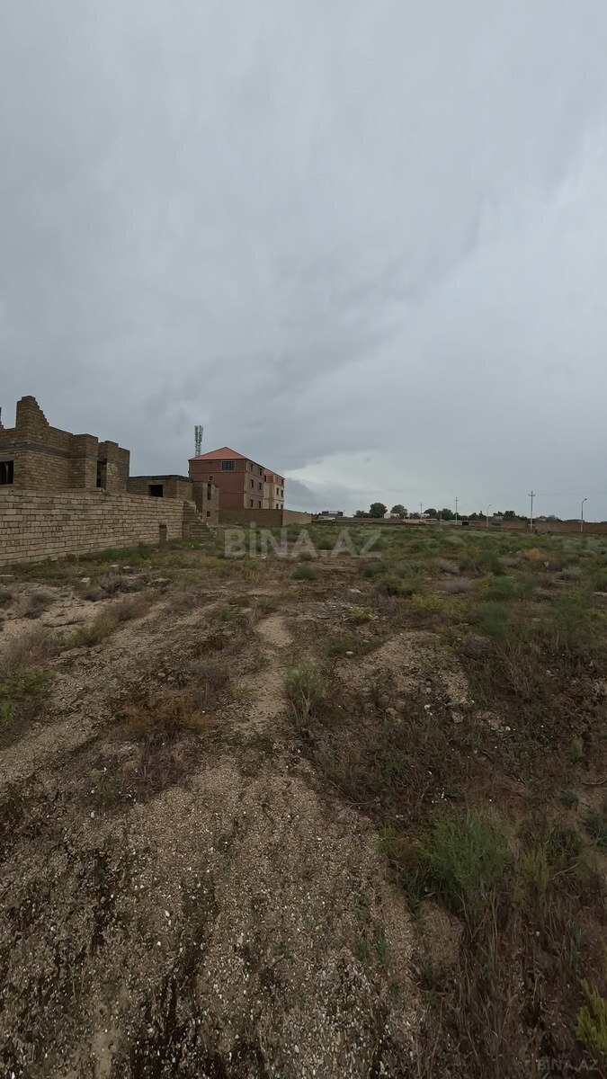 Torpaq Türkan q., Bakı