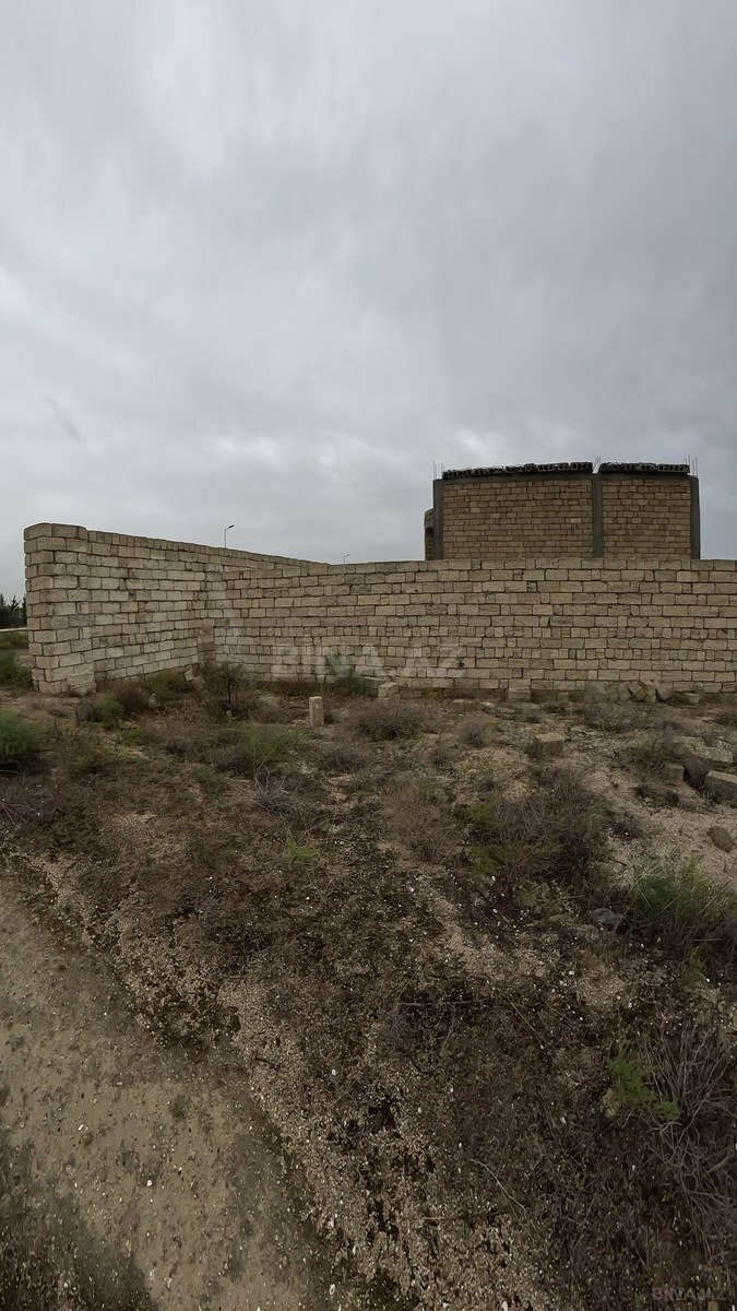 Torpaq Türkan q., Bakı