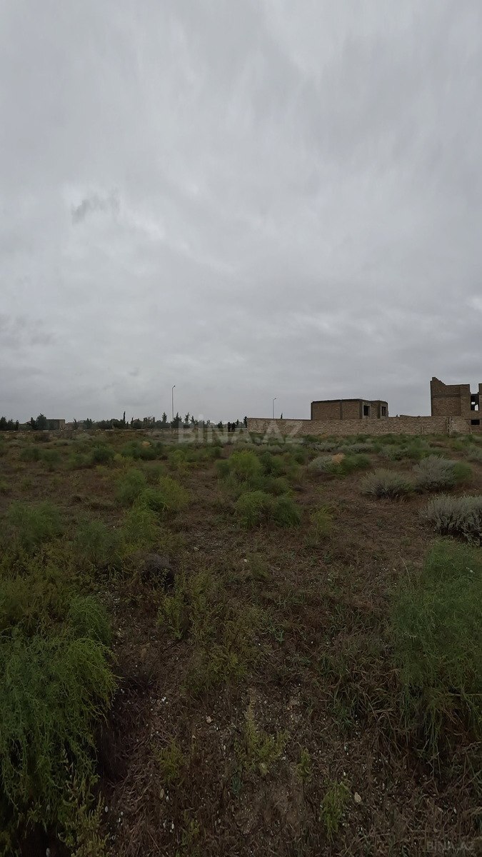 Torpaq Türkan q., Bakı