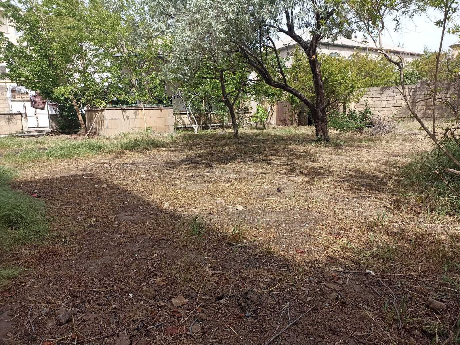 Torpaq Badamdar q., Bakı
