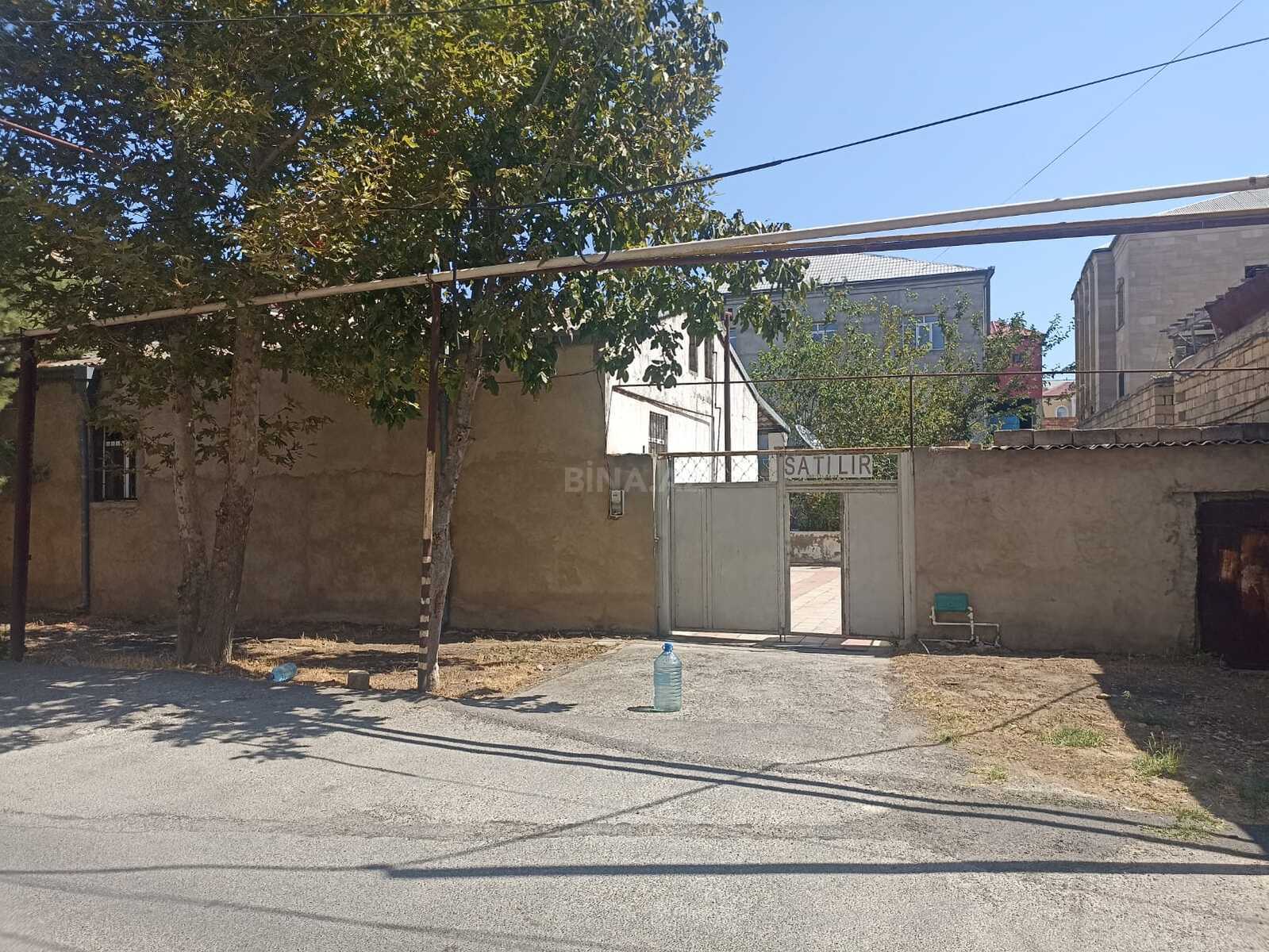 Torpaq Badamdar q., Bakı