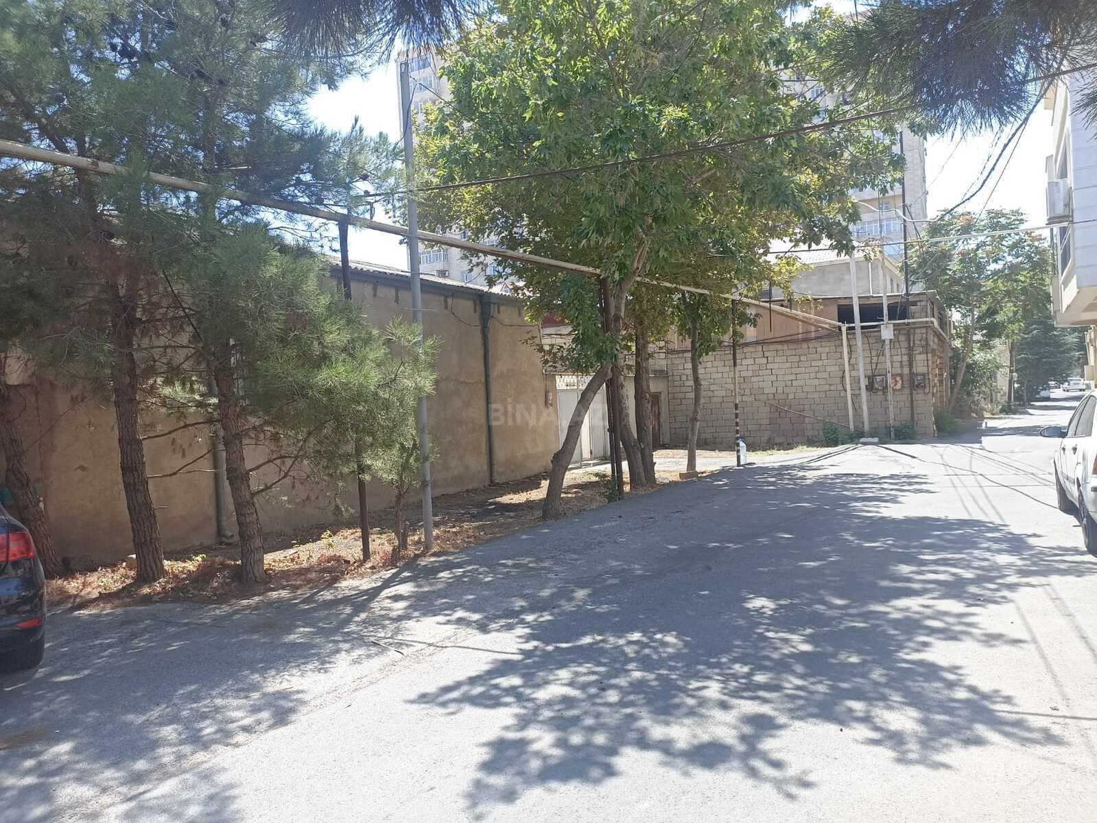 Torpaq Badamdar q., Bakı