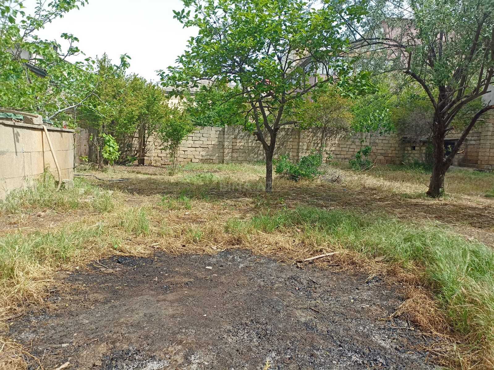 Torpaq Badamdar q., Bakı
