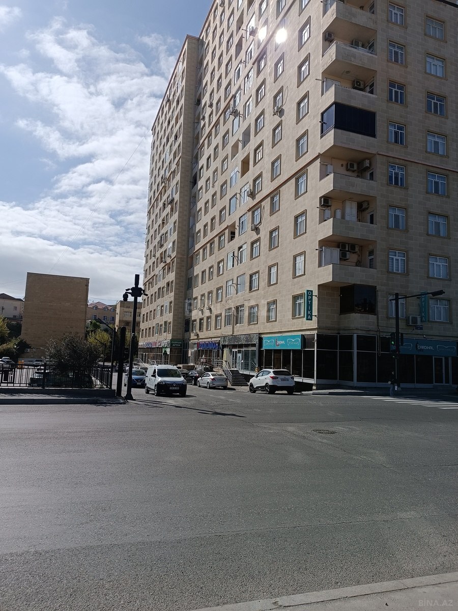 Torpaq Badamdar q., Bakı