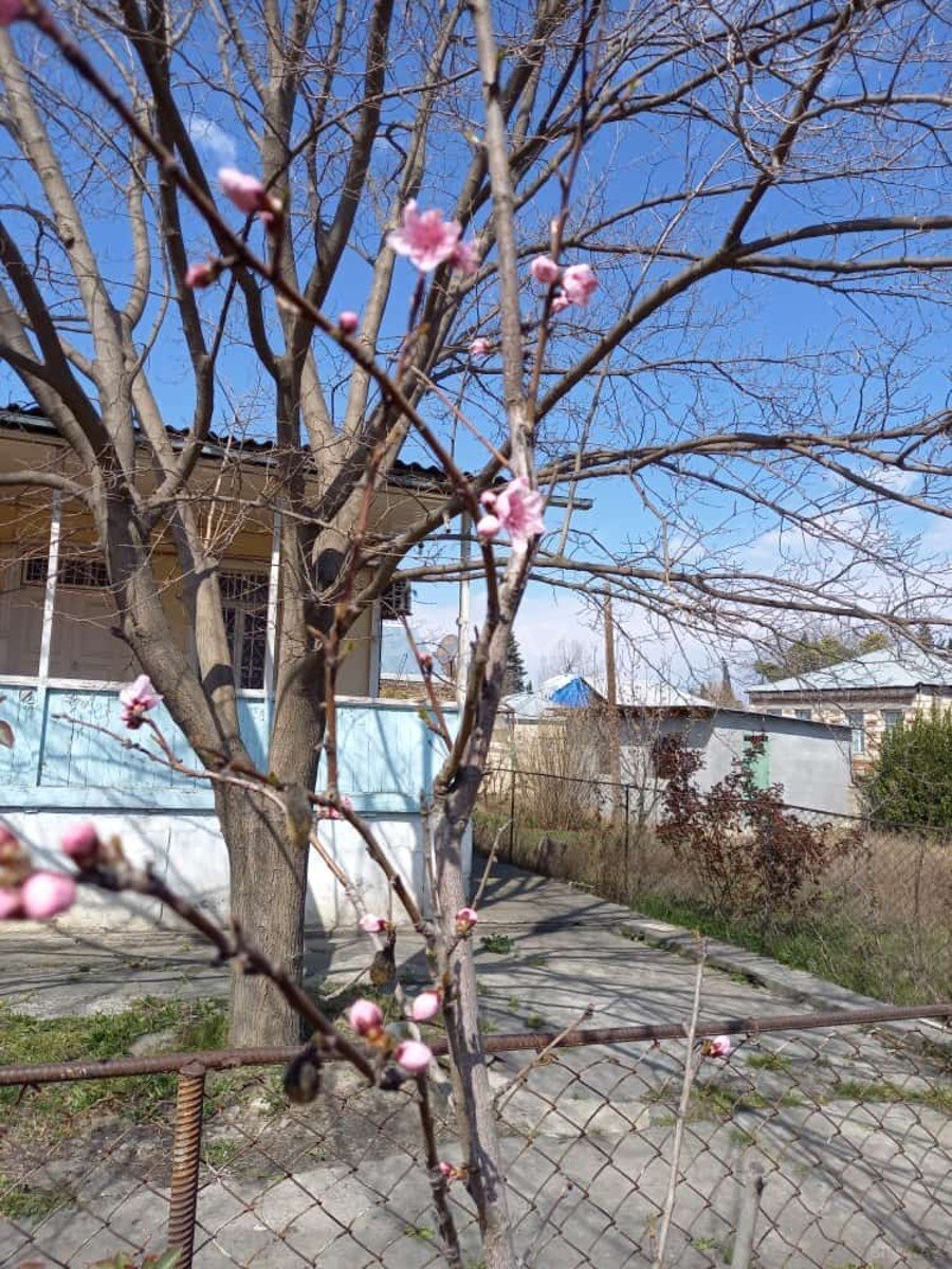 5 otaqlı Həyət evi/Bağ evi, Tərtər