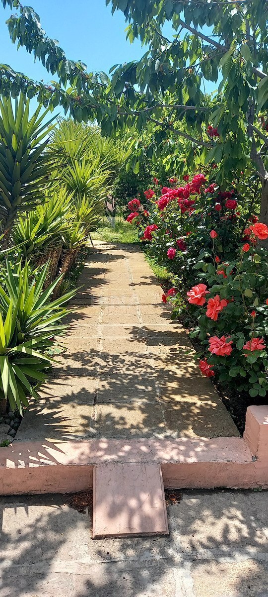 5 otaqlı Həyət evi/Bağ evi, Mərdəkan q., Bakı