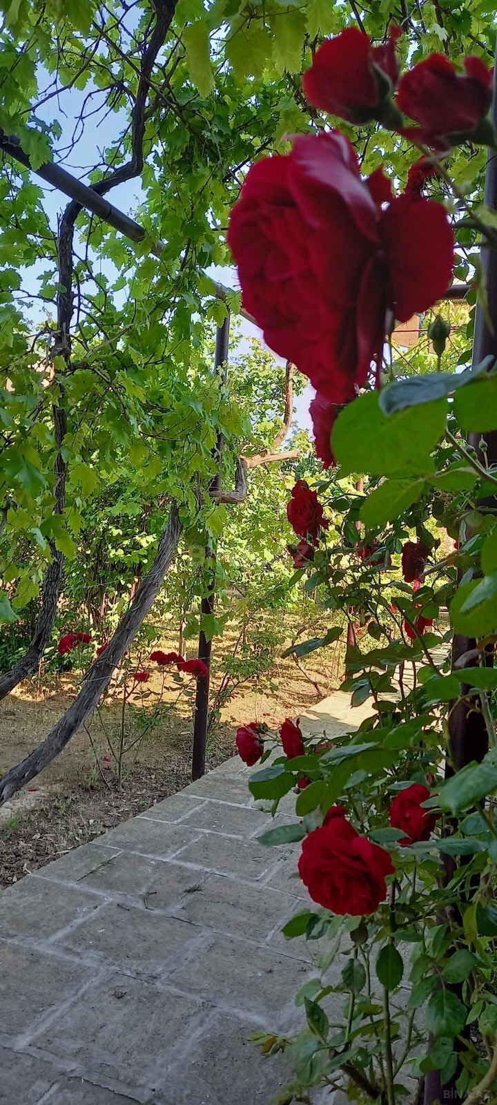 5 otaqlı Həyət evi/Bağ evi, Mərdəkan q., Bakı