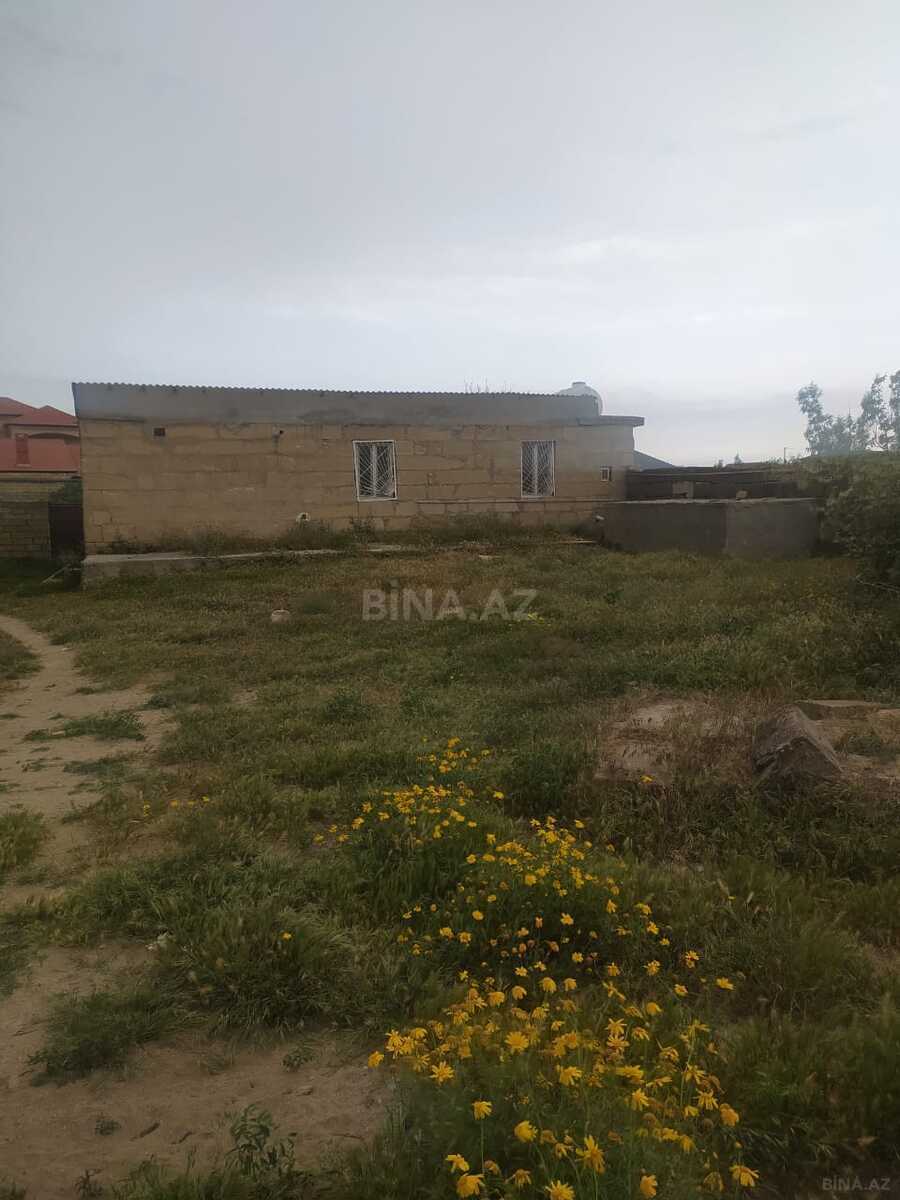 Torpaq Pirşağı q., Bakı