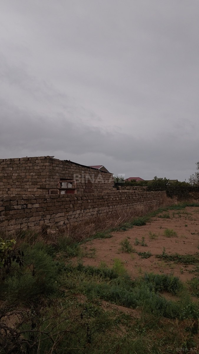 Torpaq Türkan q., Bakı