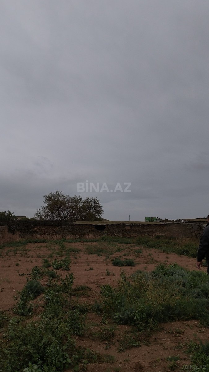 Torpaq Türkan q., Bakı