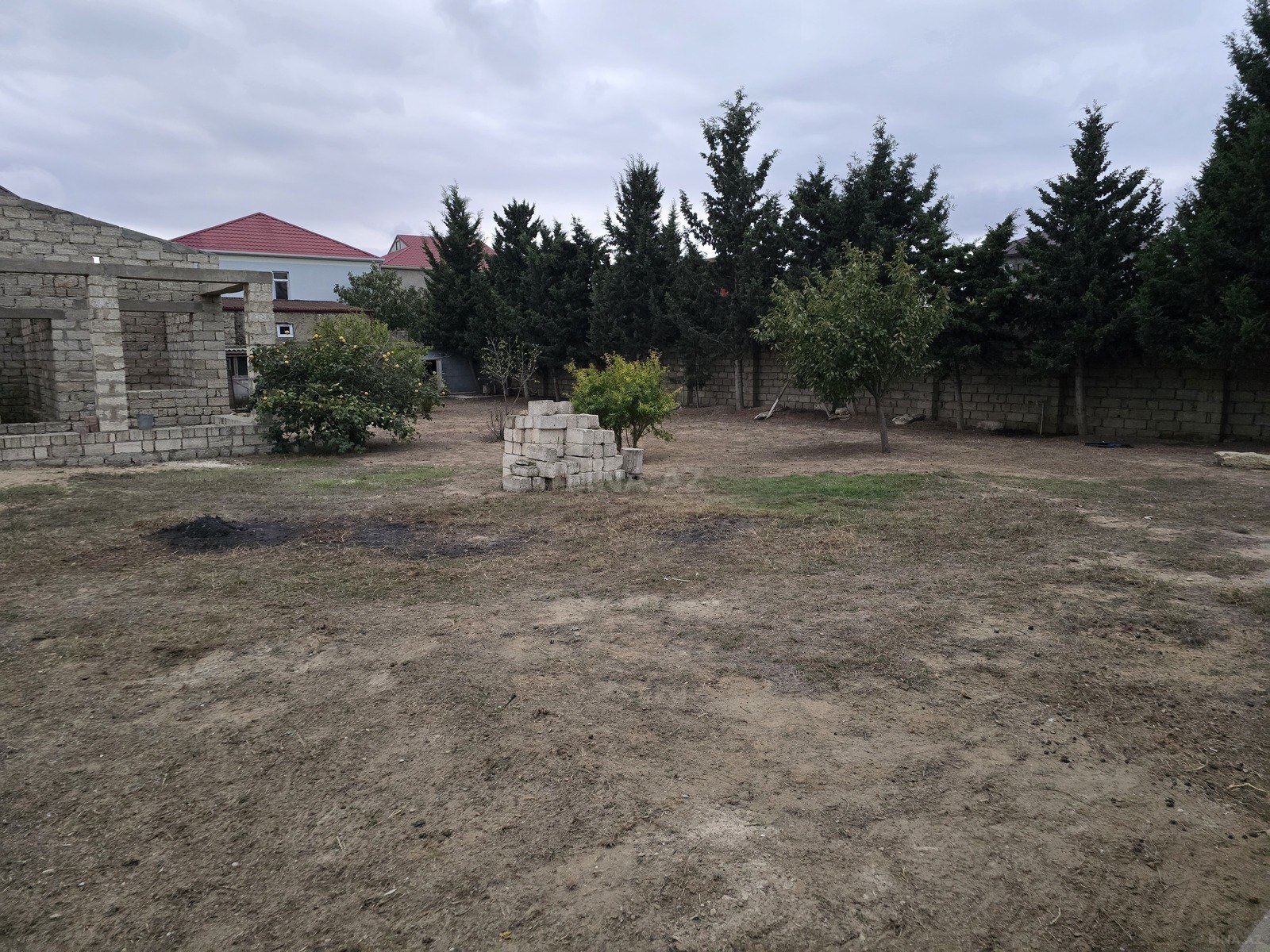 Torpaq Albalılıq q., Bakı