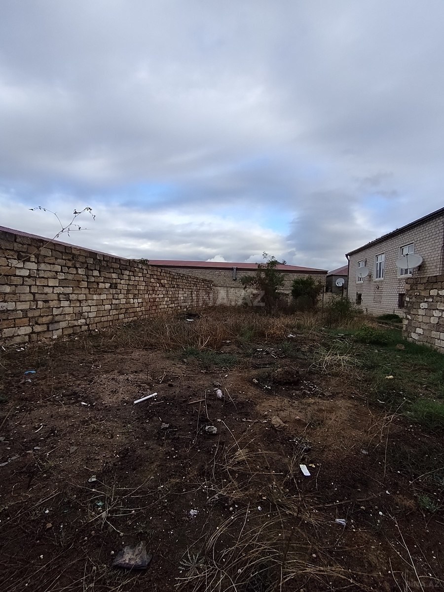 Torpaq Binə q., Bakı