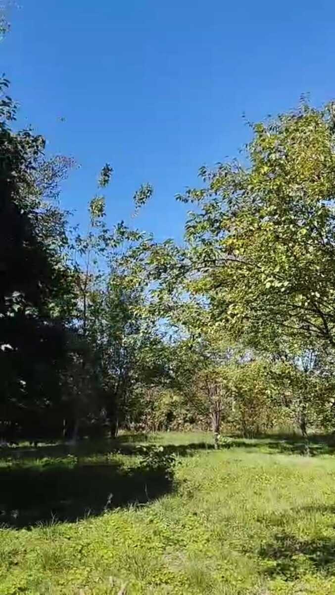 Torpaq Qəbələ