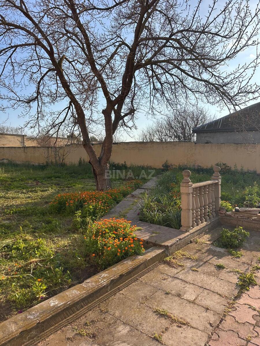 Torpaq Mərdəkan q., Bakı