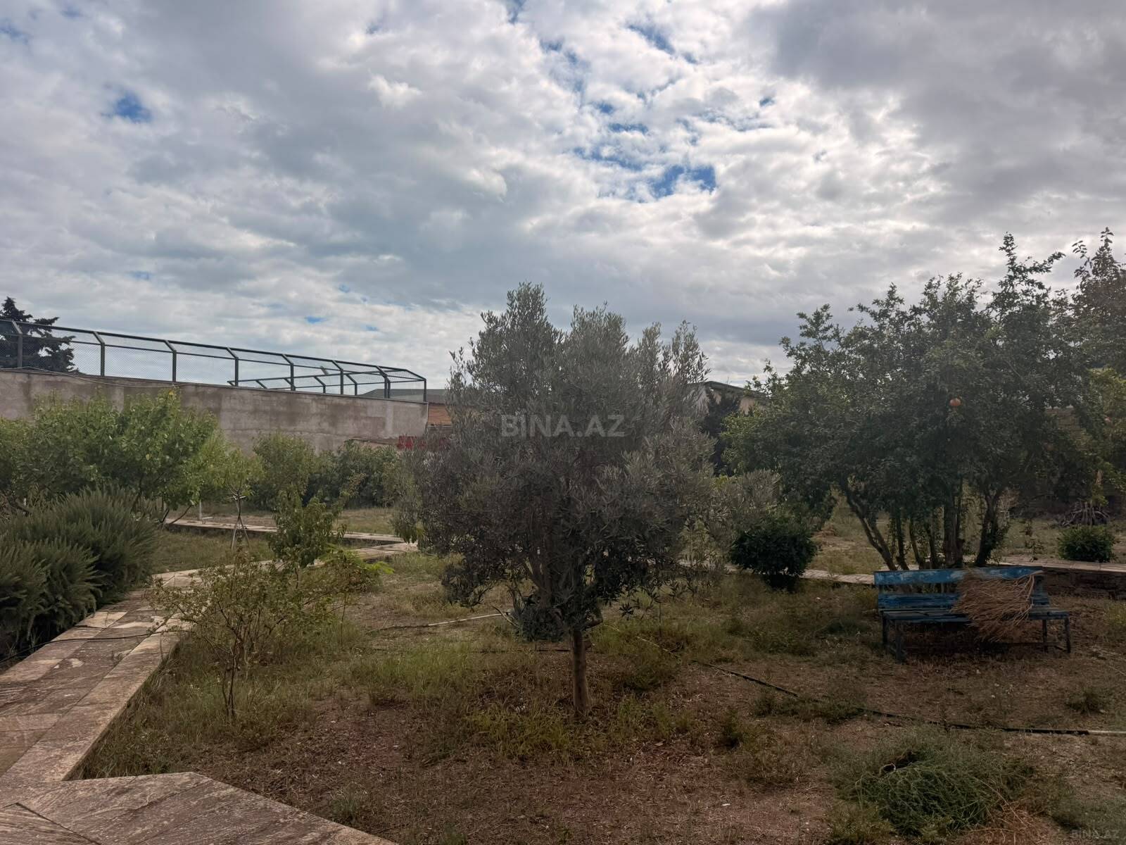 Torpaq Şüvəlan q., Bakı
