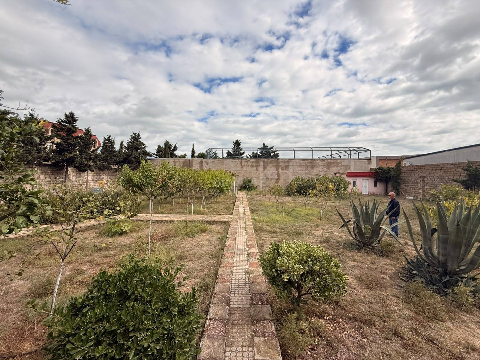 Torpaq Şüvəlan q., Bakı