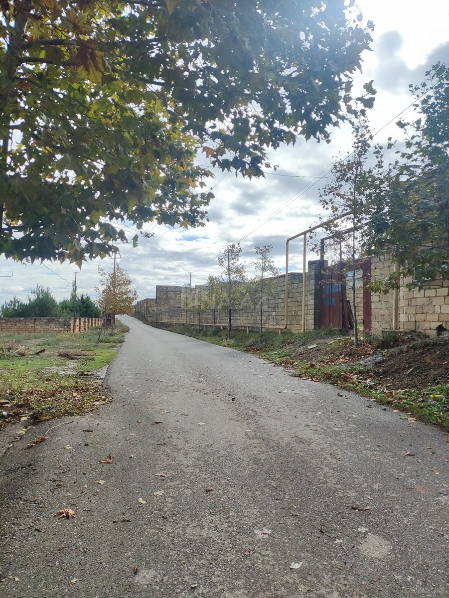 Torpaq Novxanı q., Bakı