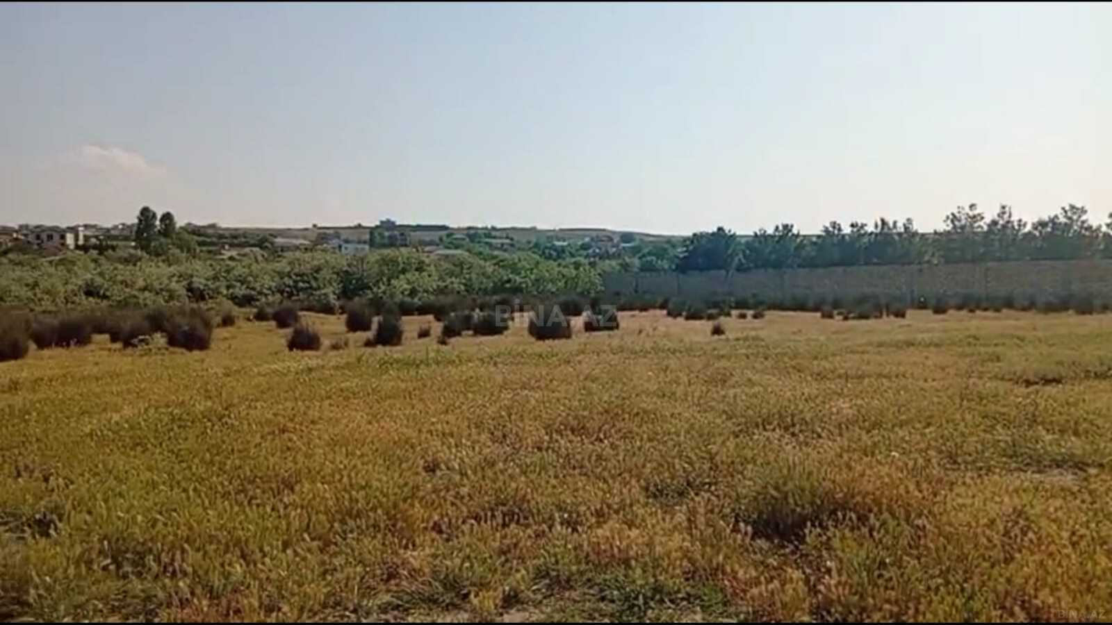 Torpaq Görədil q., Bakı