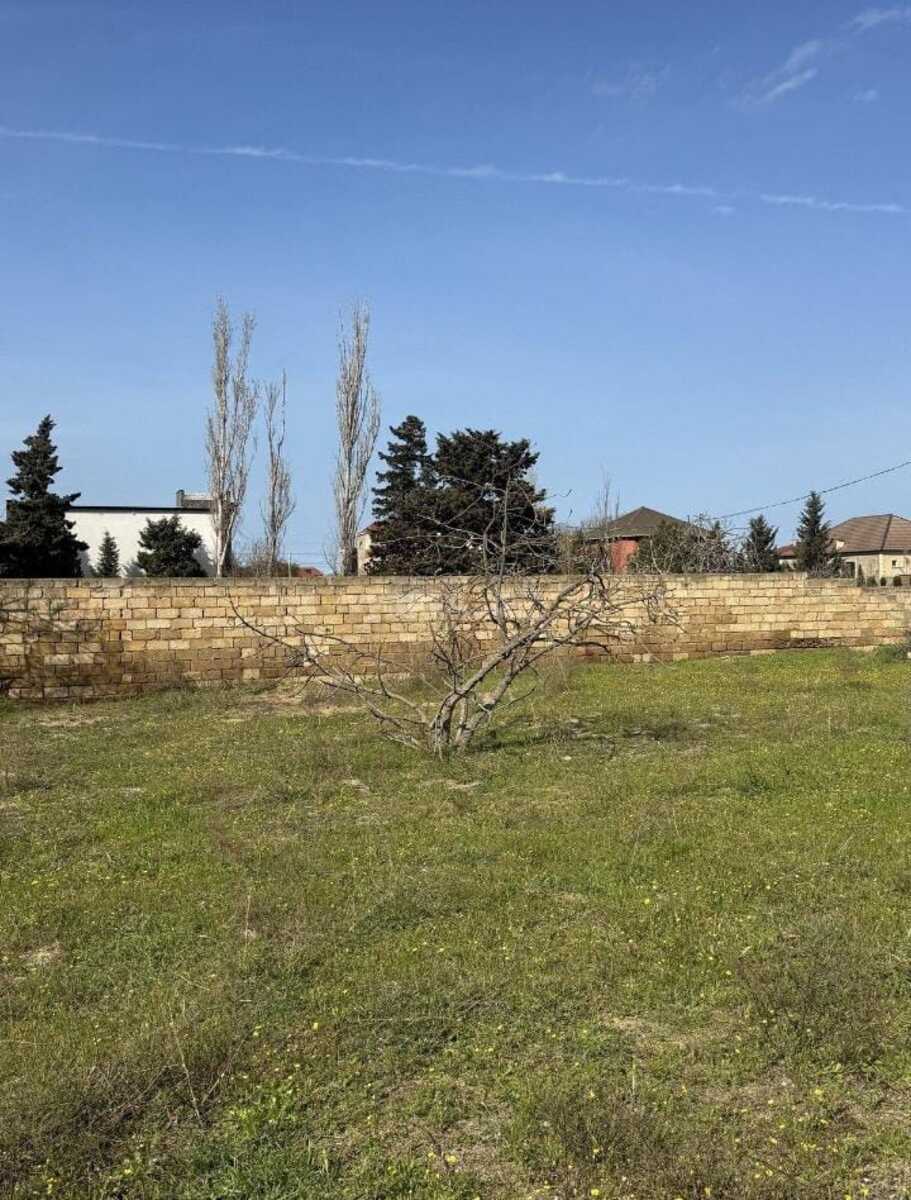 Torpaq Görədil q., Bakı