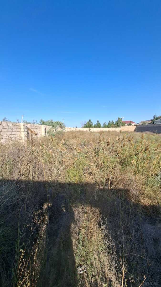 Torpaq Hövsan q., Bakı