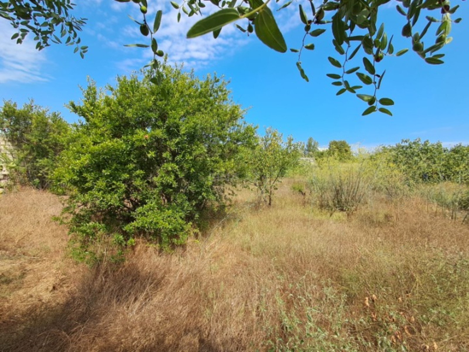Torpaq Bilgəh q., Bakı