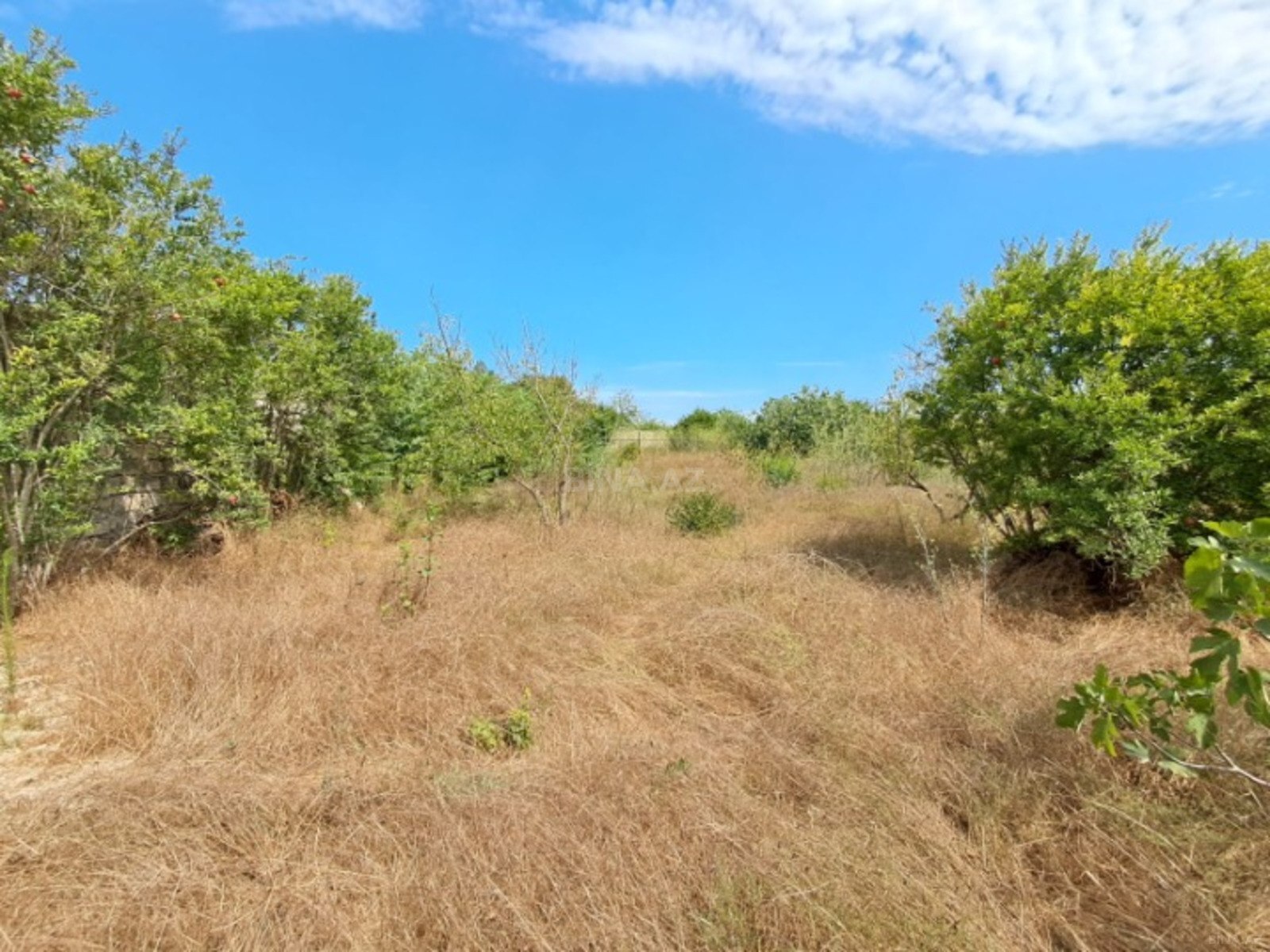 Torpaq Bilgəh q., Bakı