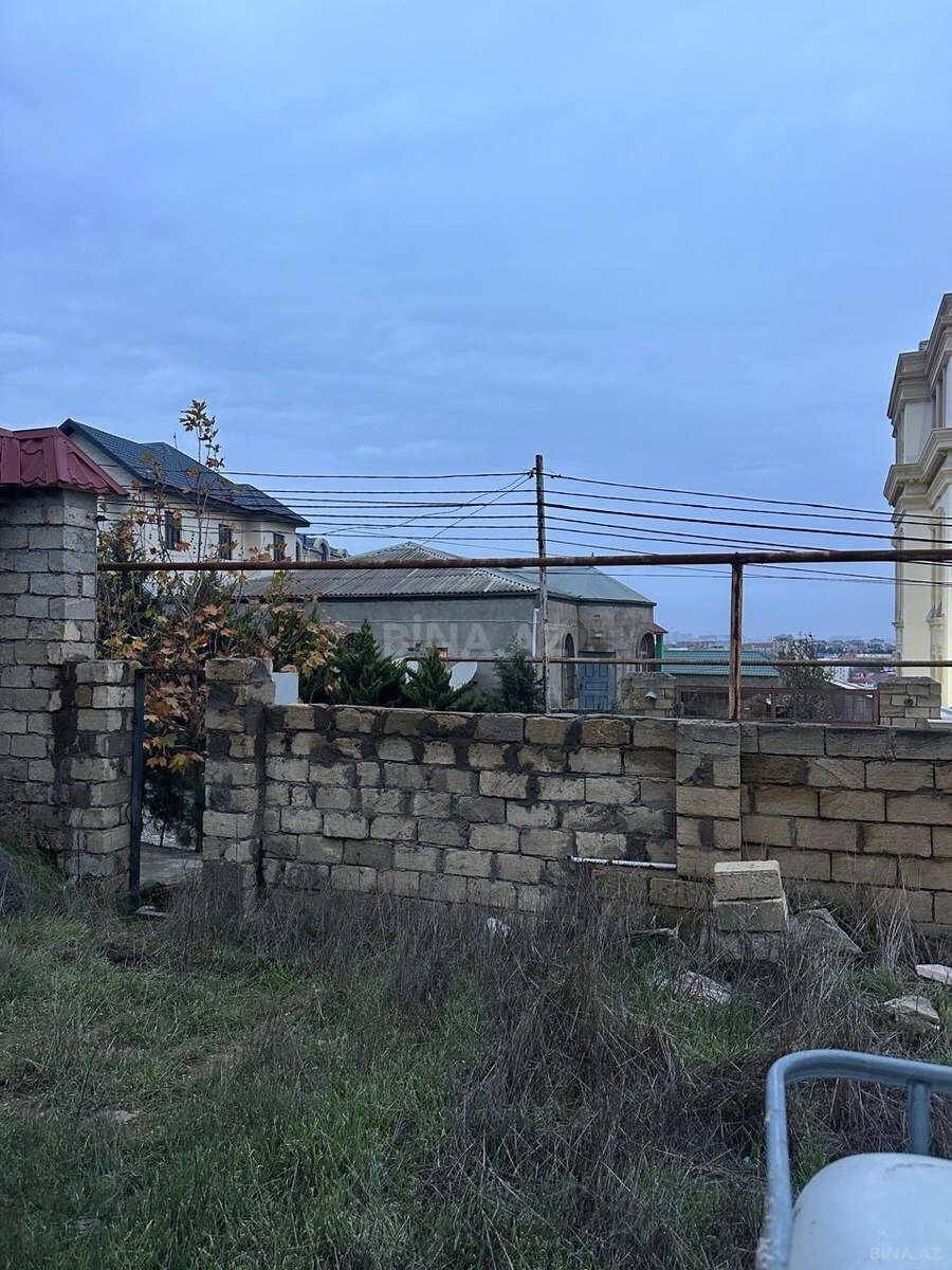 Torpaq Badamdar q., Bakı