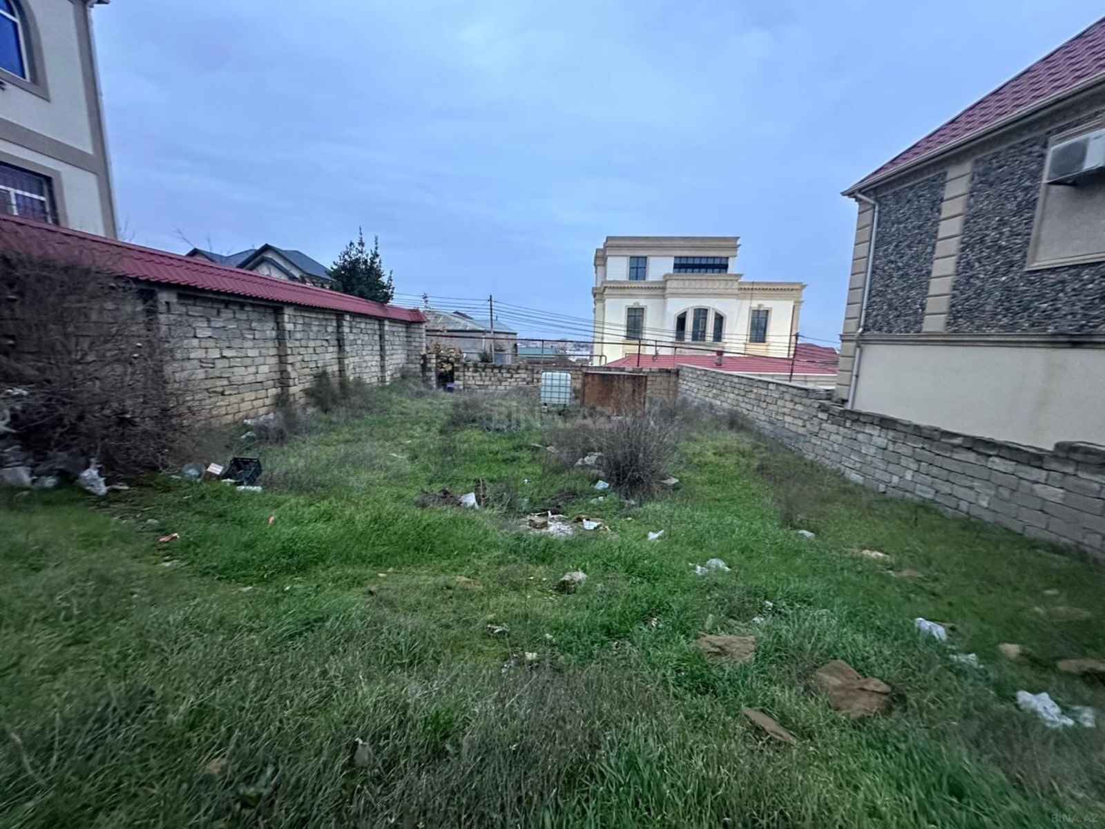 Torpaq Badamdar q., Bakı