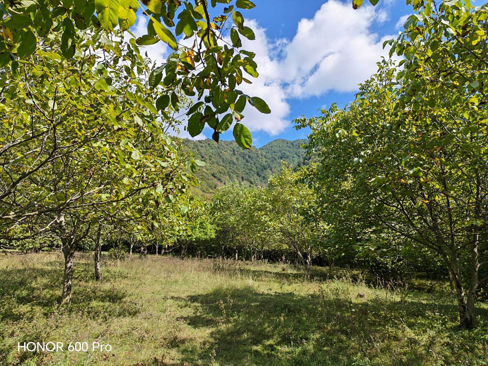 Torpaq Qəbələ