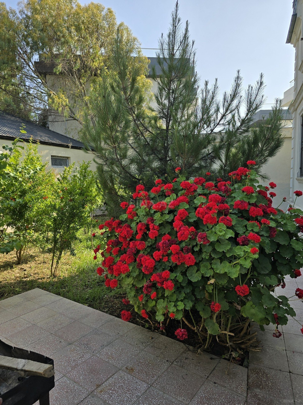 3 otaqlı Həyət evi/Bağ evi, Buzovna q., Bakı