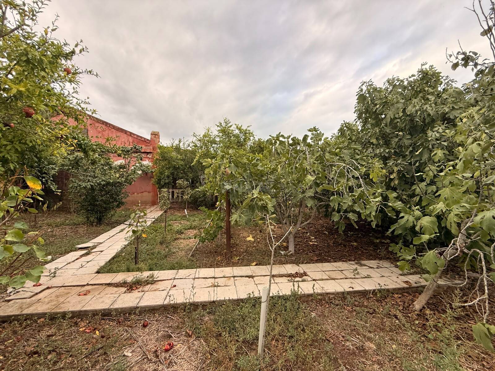 Torpaq Mərdəkan q., Bakı