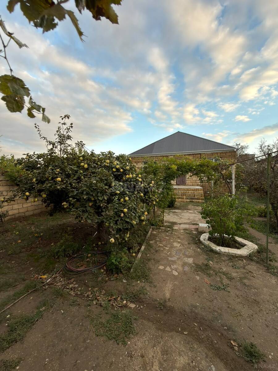 Torpaq Novxanı q., Bakı