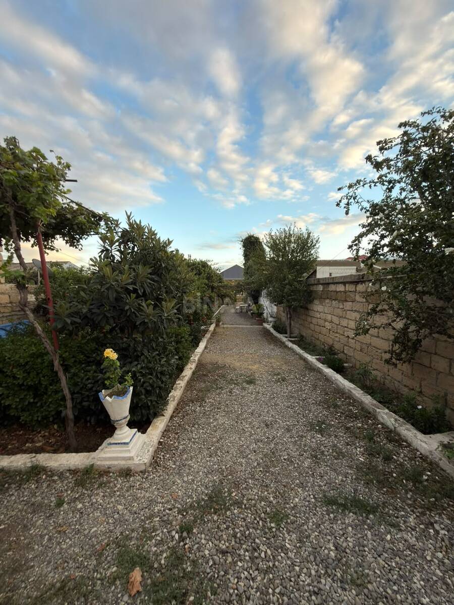 Torpaq Novxanı q., Bakı