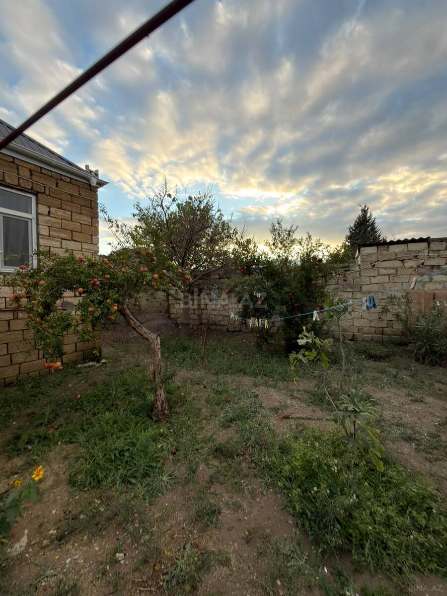 Torpaq Novxanı q., Bakı