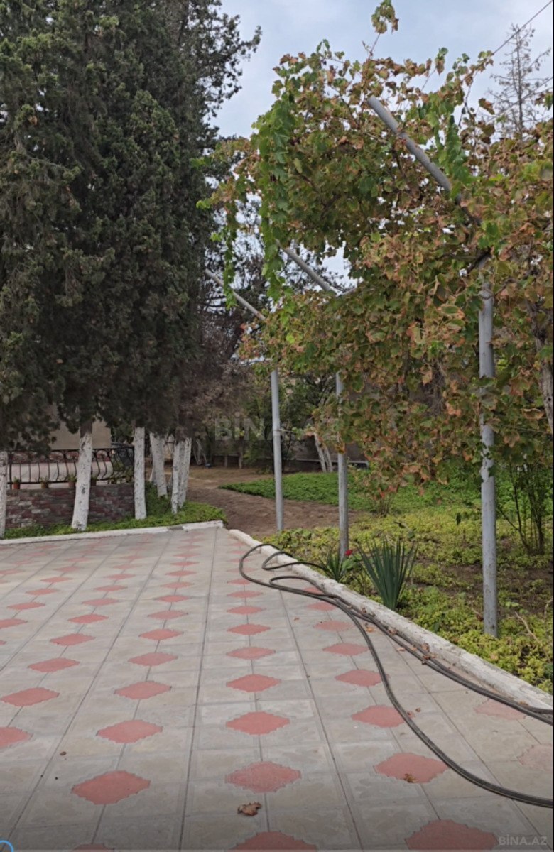 Torpaq Xəzər r., Bakı