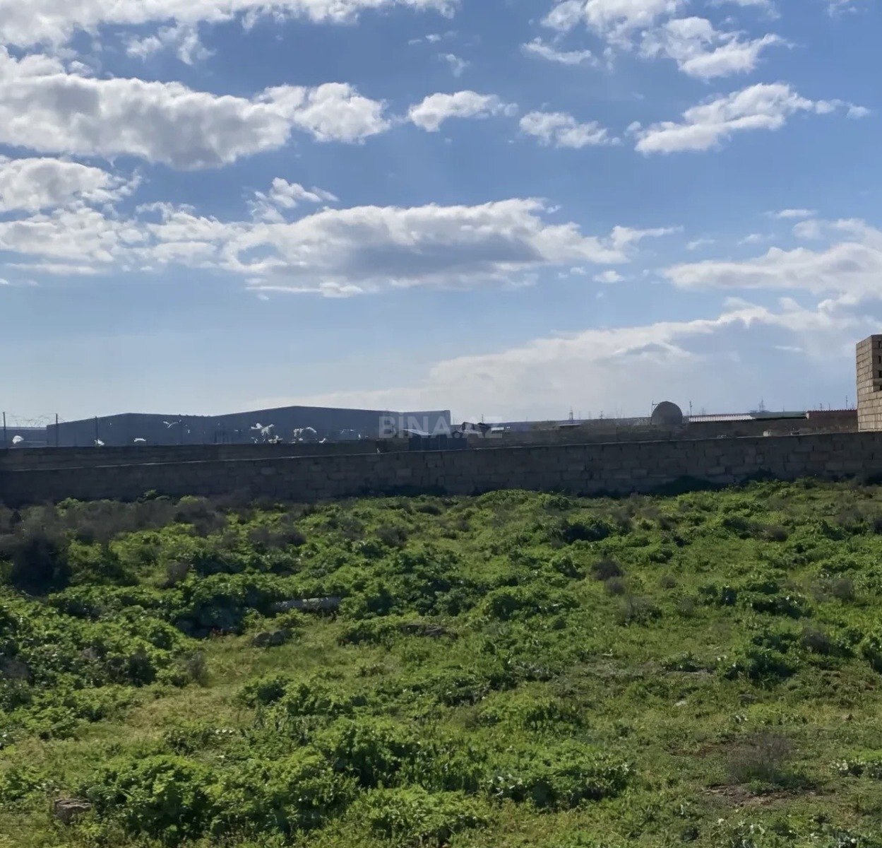 Torpaq Biləcəri q., Bakı