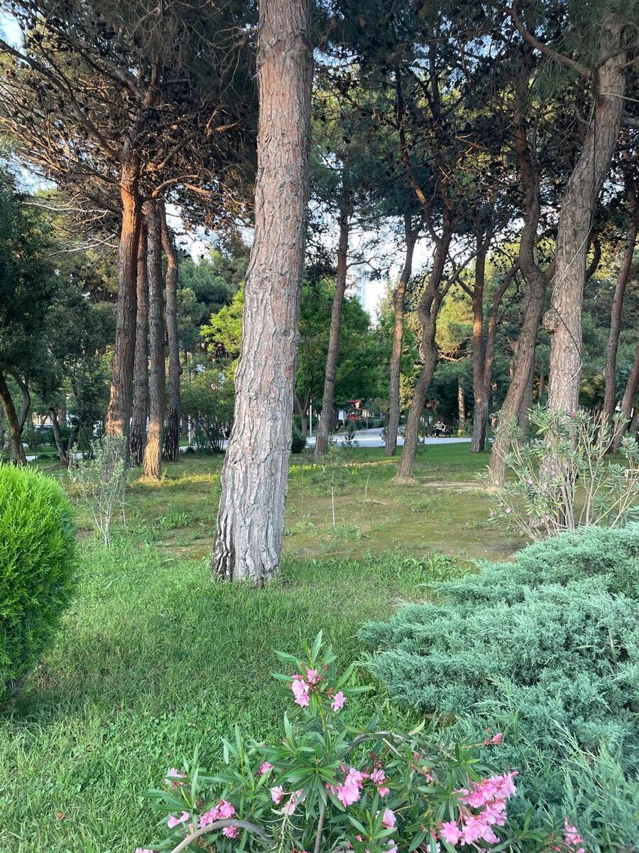2 otaqlı Yeni tikili, Elmlər Akademiyası m., Bakı