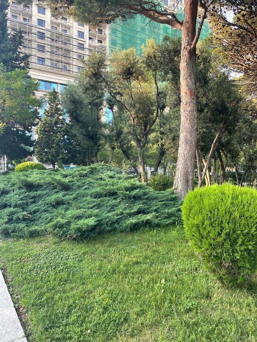 2 otaqlı Yeni tikili, Elmlər Akademiyası m., Bakı