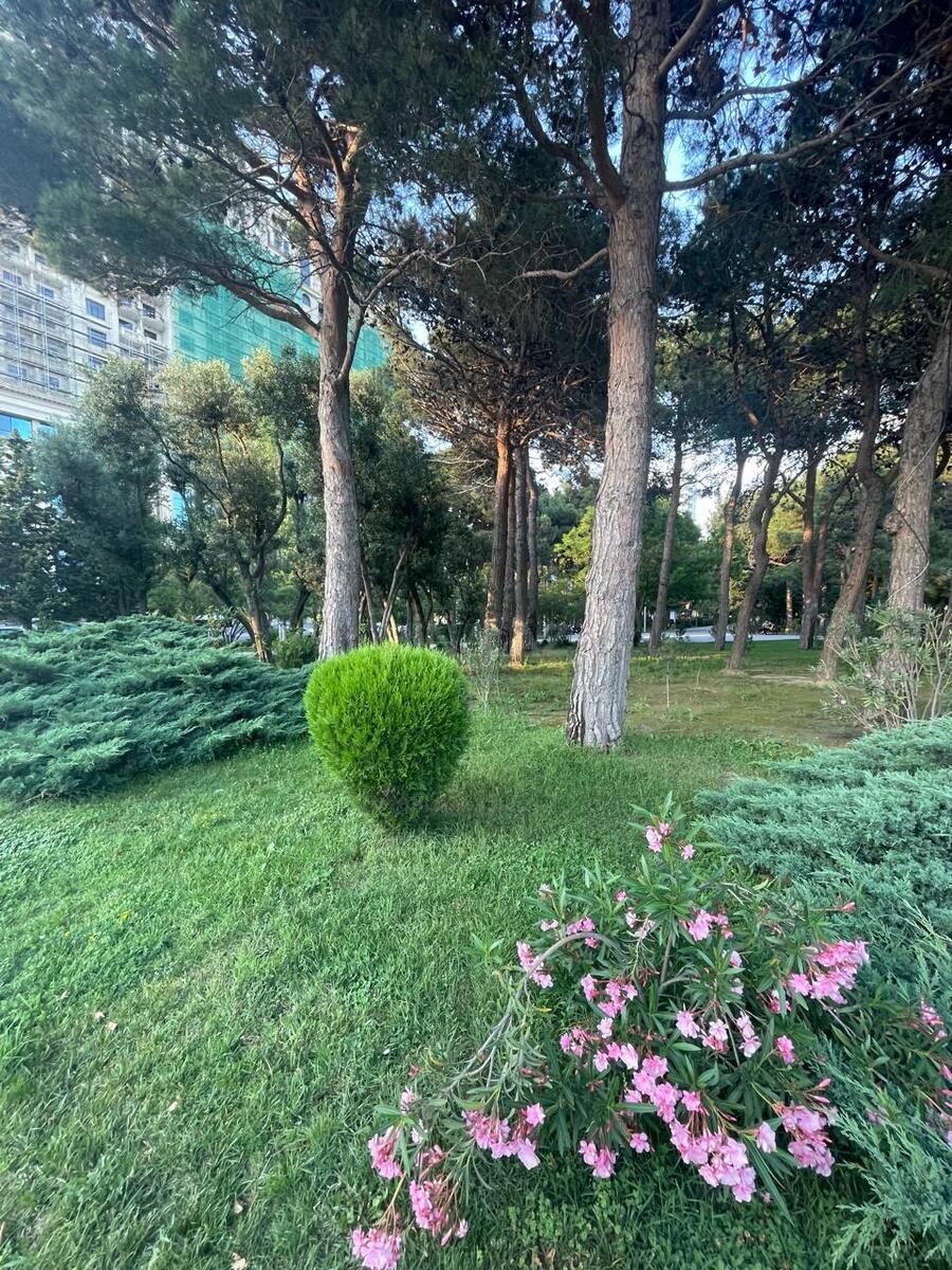 2 otaqlı Yeni tikili, Elmlər Akademiyası m., Bakı